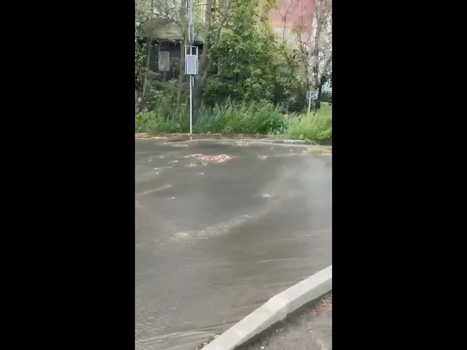 Фото: скриншот видео