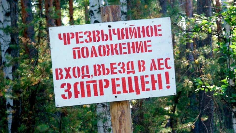 Фото: cлужба спасения Красноярского края