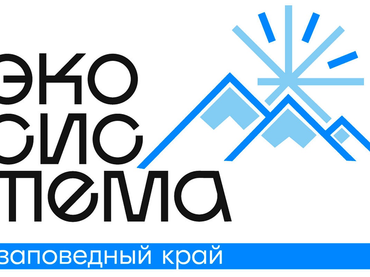 Под эгидой нацпроекта «Экология» на Камчатке пройдет Всероссийский  молодежный экологический форум «Экосистема. Заповедный край» - KP.RU