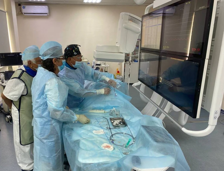 ЗДОРОВЬЕ - KP.RU