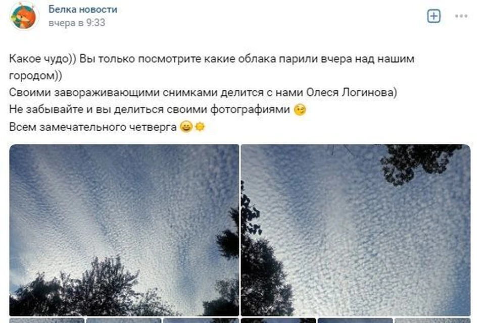 Фото: скриншот с паблика "Белка новости"