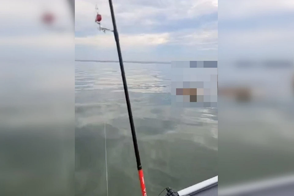 Тело утонувшего мужчины обнаружил в воде рыбак. Фото: скриншот видео "Свидетель. Бердск".