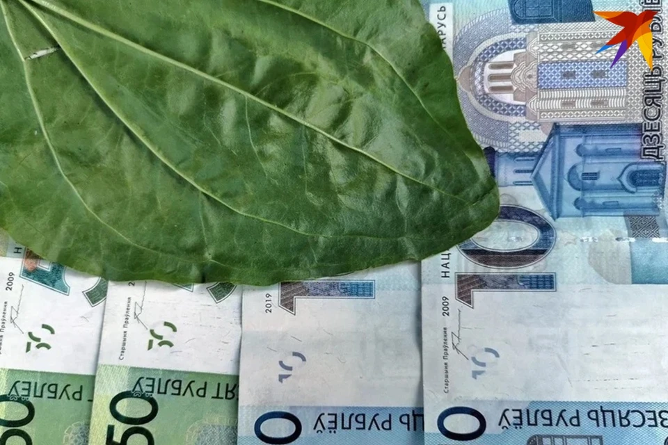 В Минске налоговая оштрафовала на 7400 рублей точку с овощами и фруктами, где выручка уходила налево. Снимок носит иллюстративный характер.