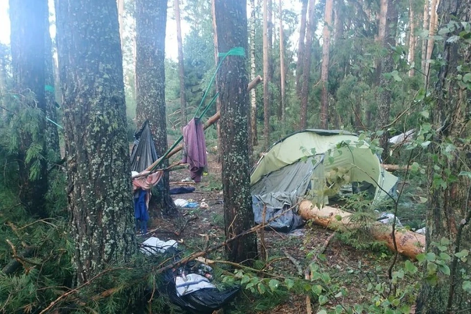 Деревья падали на палатки, в которых люди укрывались от дождя. Фото: МЧС России