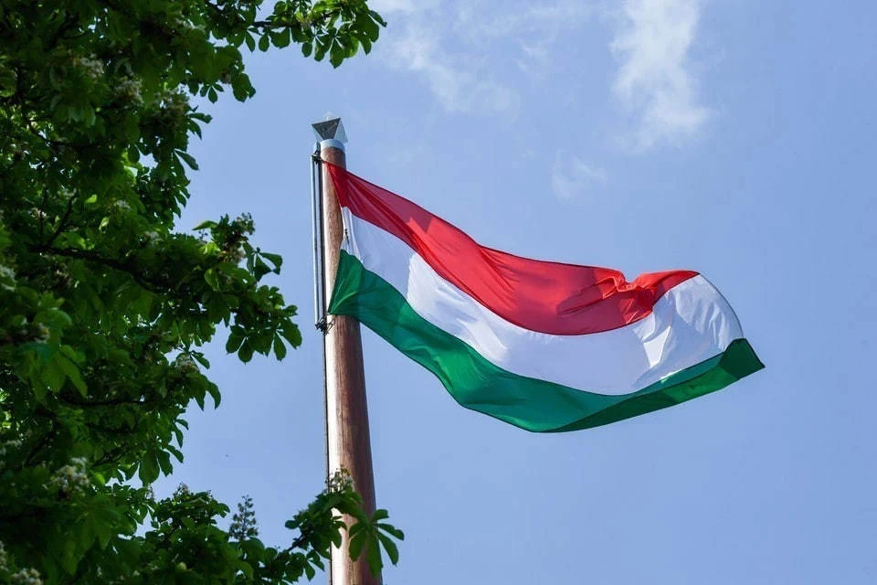 Венгрия не согласовала вступление Швеции в НАТО из-за бойкота правящих партий