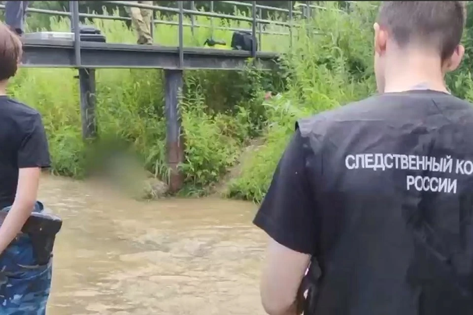 СКР завел дело об убийстве после найденного трупа без головы в Хабаровске Фото: скриншот из видео