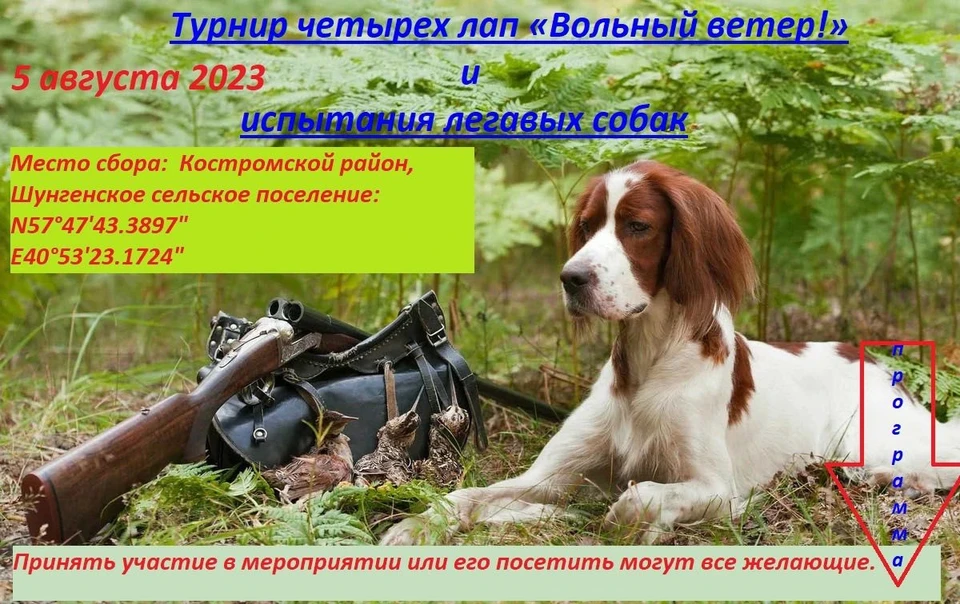 Источник: пресс-служба департамента природресурсов Костромской области