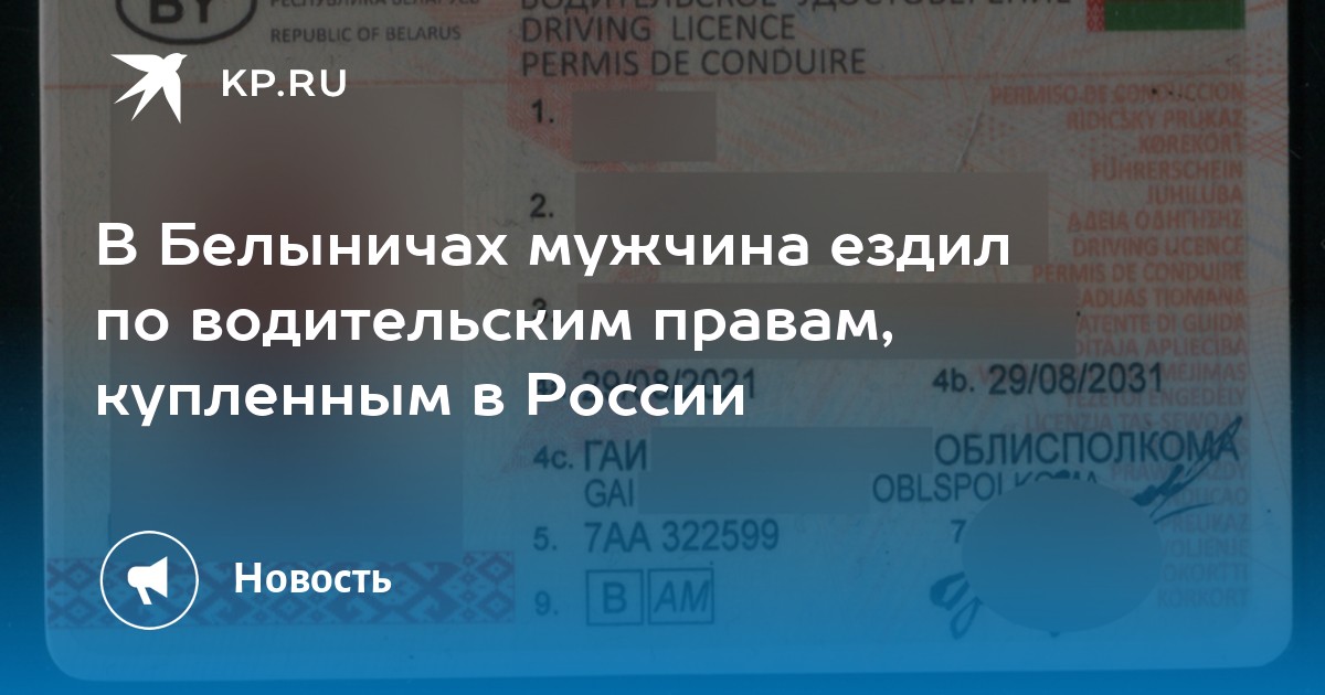 В Белыничах мужчина ездил по водительским правам, купленным в России - KP.RU