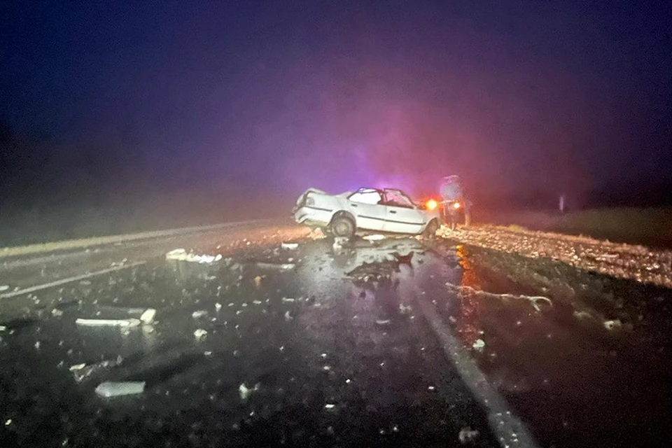 Мужчина погиб в аварии с тягачом на трассе «Уссури» в Хабаровском крае Фото: УГИБДД по Хабаровскому краю