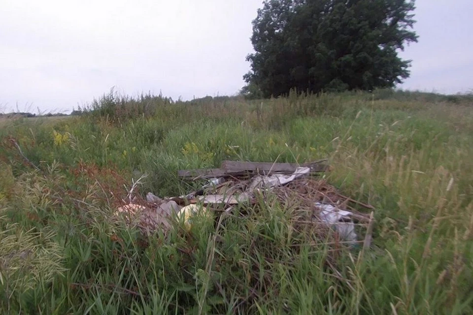 фотография с сайта управления Россельхознадзора по Воронежской, Белгородской и Липецкой областям