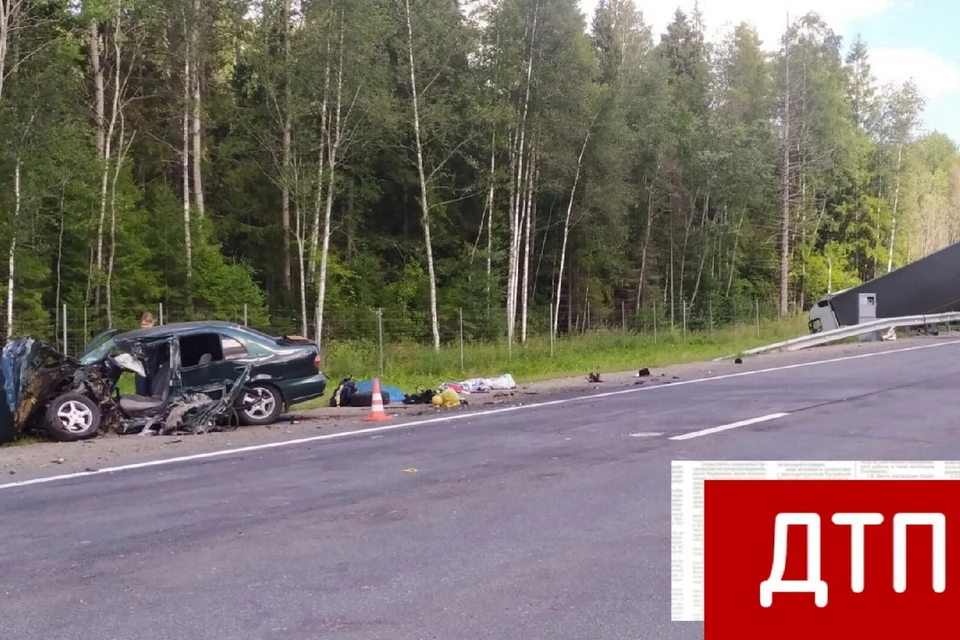 Фото: газета "Звезда"
