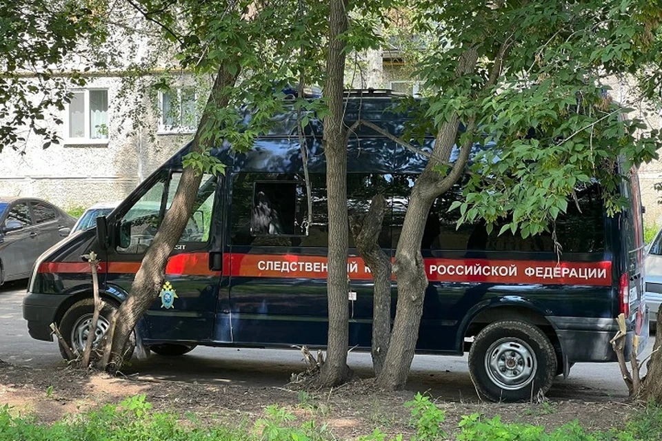 Делом заинтересовался глава ведомства Александр Бастрыкин