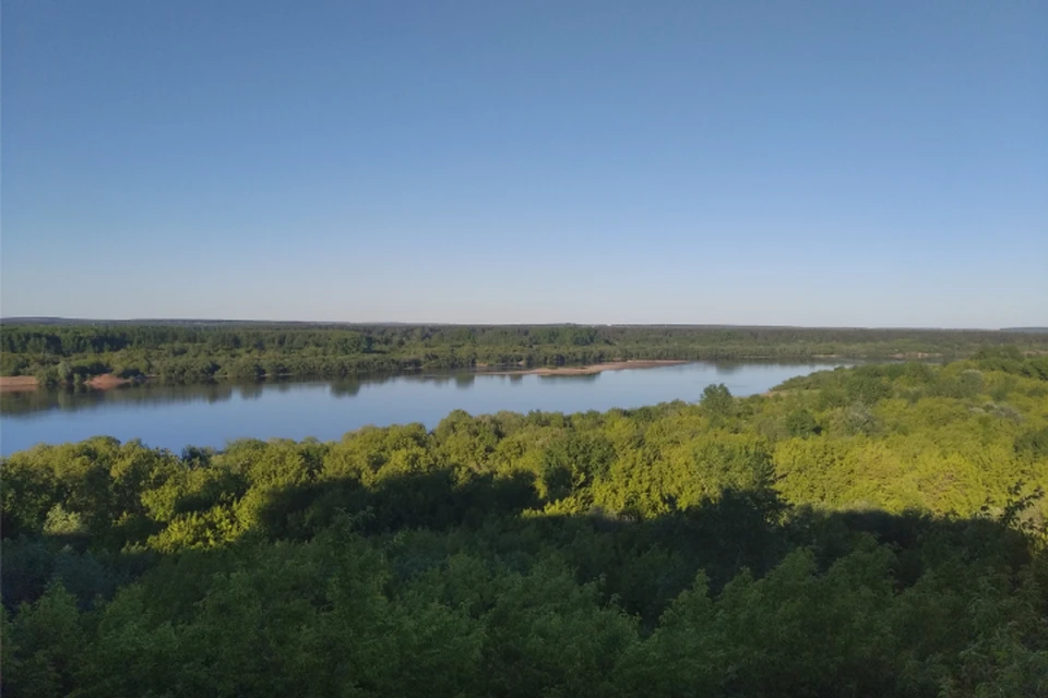 Погода в течение всей недели будет теплой и безоблачной.