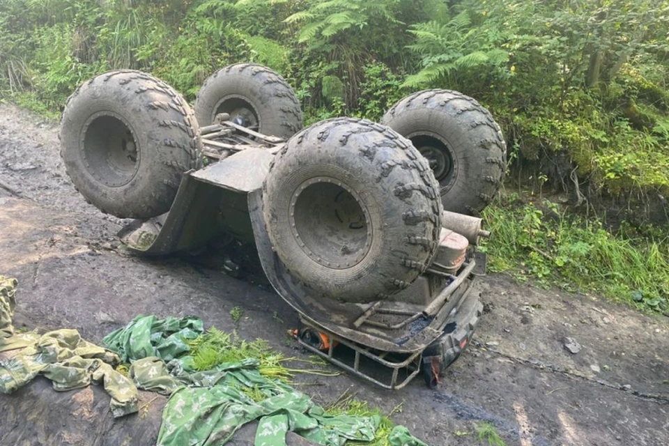 ДТП произошло 6 августа в окрестностях села Чемал. Фото: МВД по Республике Алтай
