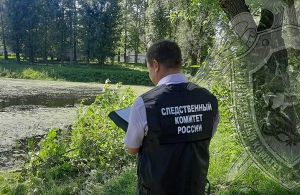 Фото: пресс-служба СУ СК России по Костромской области