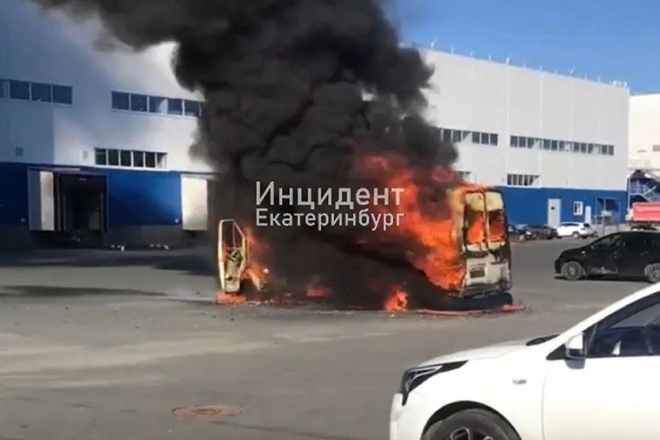Фото: скриншот с видео