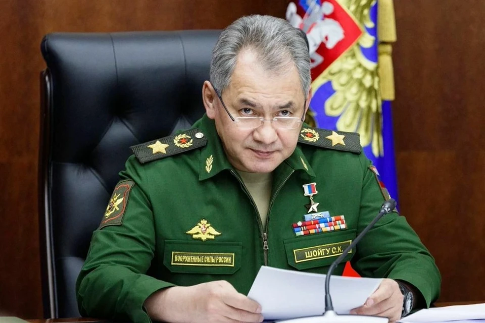 Шойгу назвал прибытие гостей на "Армию-2023" лучшим ответом любителям санкций
