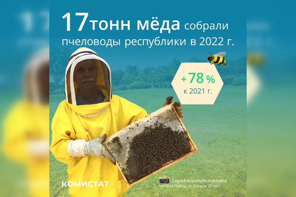 В минувшем сезоне пчеловоды Коми собрали почти в 2 раза больше меда
