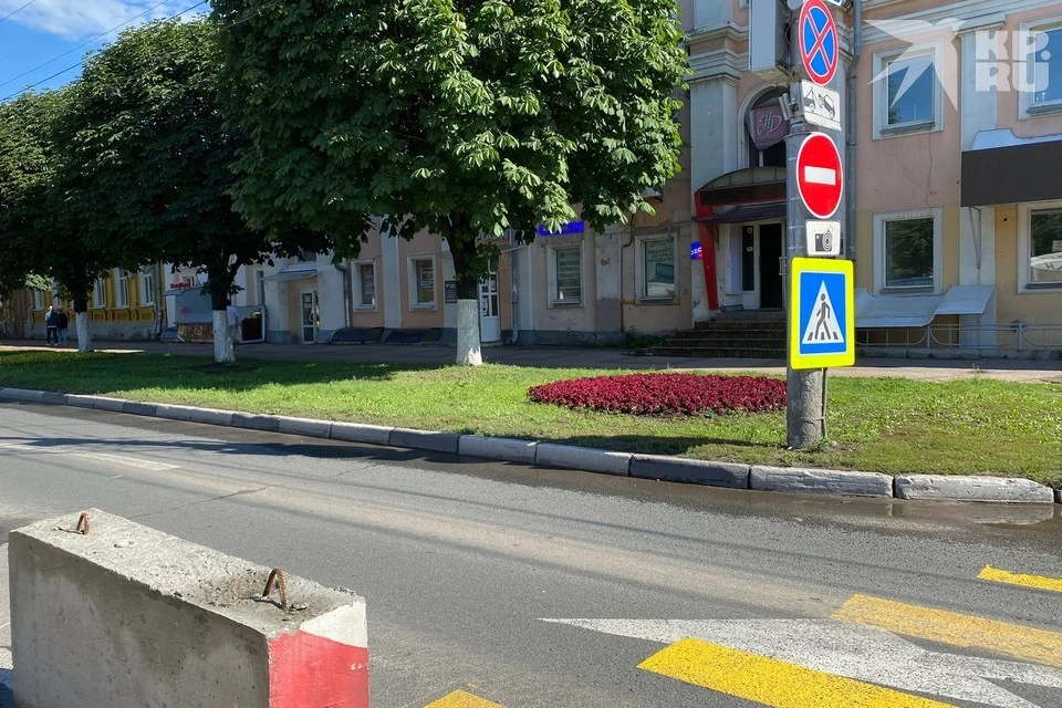 Выделенную полосу в центре Рязани планируют сохранить.