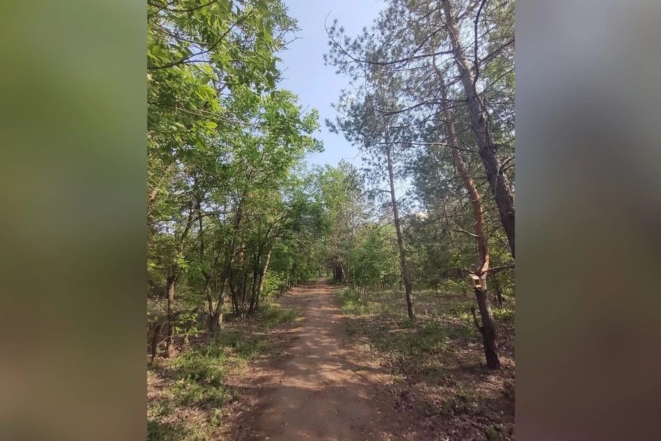 Камеры установили в парках и на улицах.