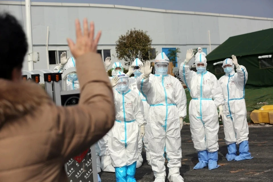 США изучили 2,5 тысячи летучих мышей для поиска новых штаммов коронавируса