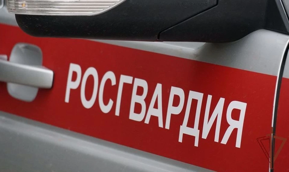 В Донском росгвардейцы остановили пьяного водителя автомобиля