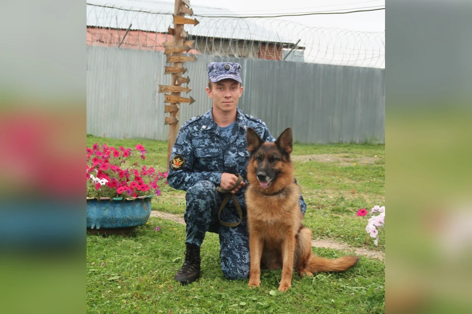 Собака Урма взяла след и помогла найти парня в болоте. Фото: ФСИН России по Нижегородской области.