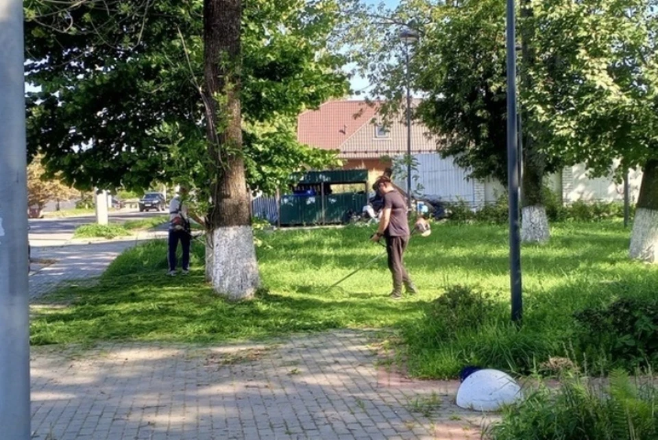 Фото: пресс-служба Брянской городской администрации.