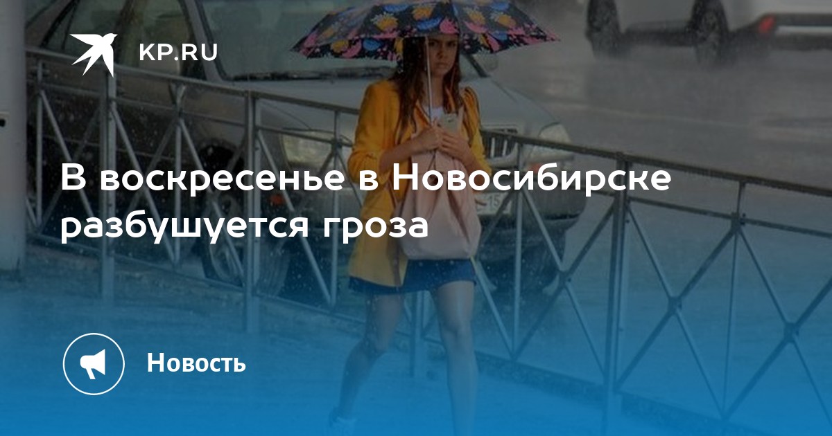 Осаго 54 в новосибирске