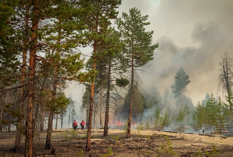 Число лесных пожаров в Якутии сократилось до 28. Фото: ГУ МЧС России по Якутии