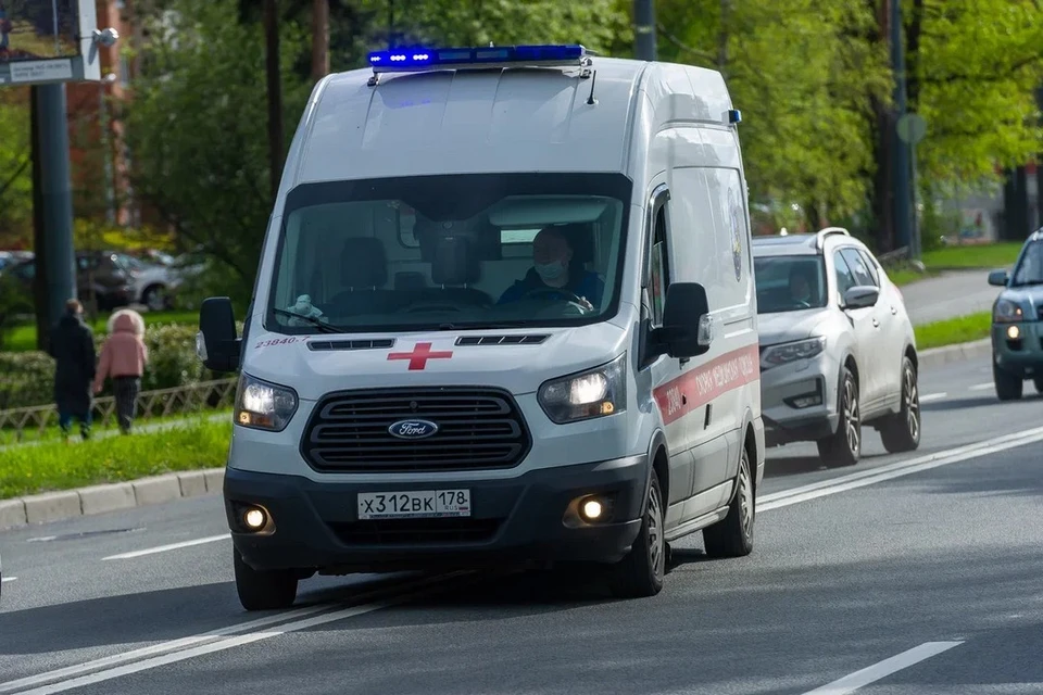 Следователи проверят руководство детского лагеря в Ленобласти, где пятеро детей отравились грибами.
