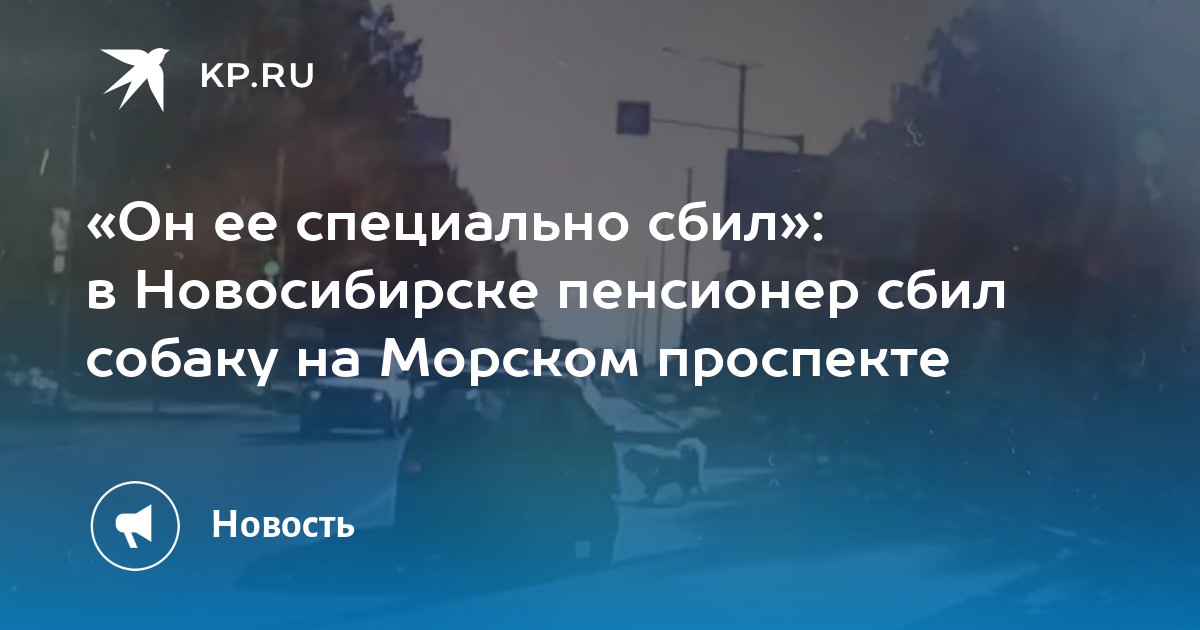 Осаго 54 в новосибирске