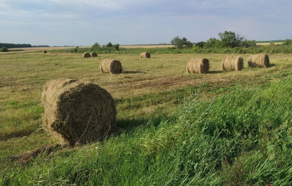 Жара не покидает Херсонскую область