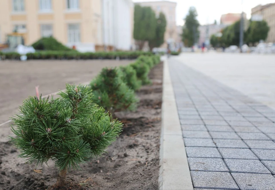 Фото пресс-службы городской администрации.