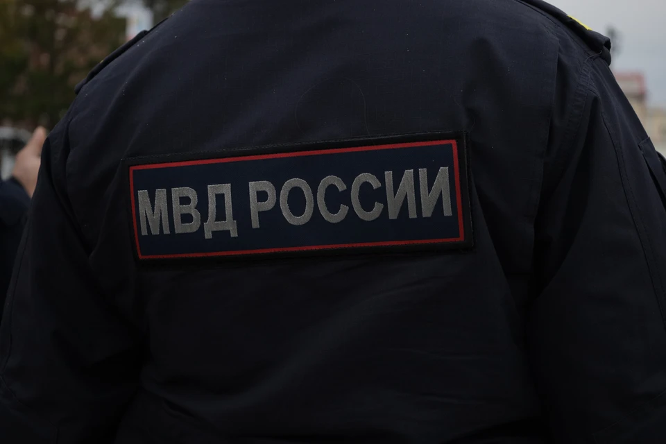 Полицейские установили все обстоятельства происшествия