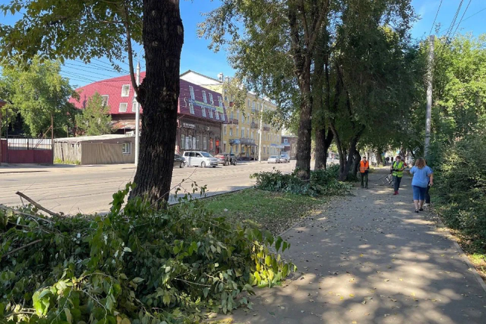 Санитарную обрезку деревьев проводят в Иркутске