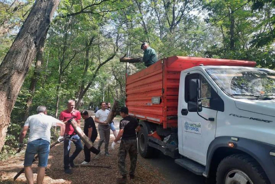 В донской столице прошел субботник. Фото: официальный телеграм-канал главы городской администрации Алексея Логвиненко