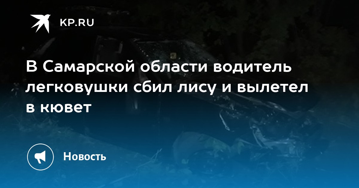 В Самарской области водитель легковушки сбил лису и вылетел в кювет - KP.RU
