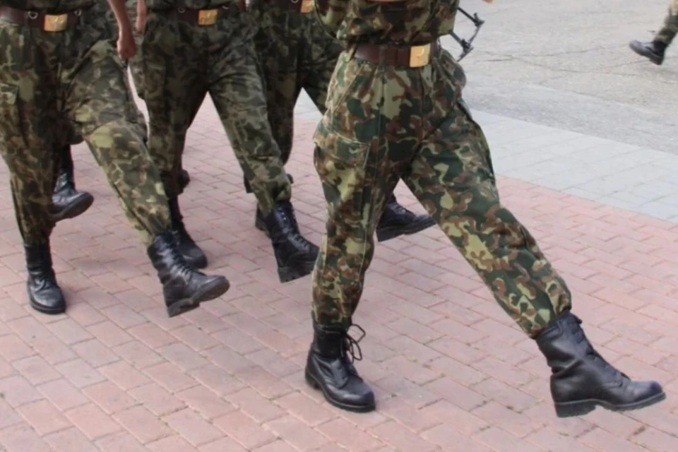 Военный забрал кота с собой