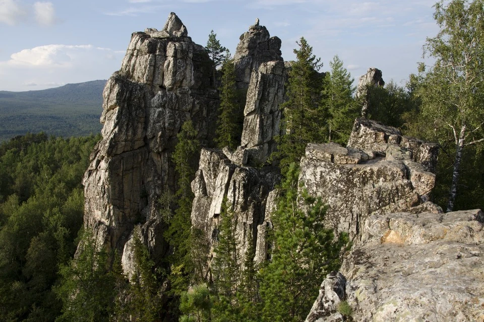 Инзерские зубчатки Фото: Андрей КУЗЬМИН