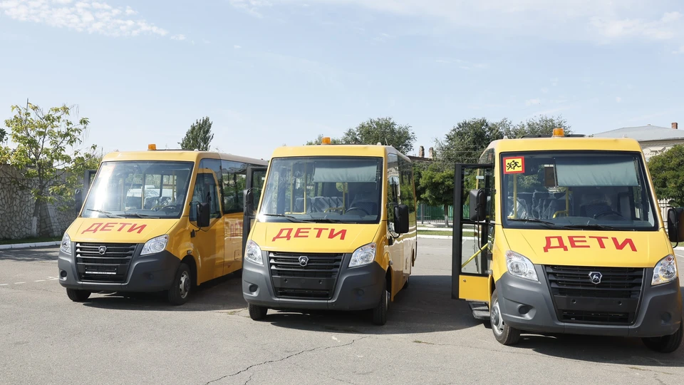 Купить Школьный Автобус Новый Цена