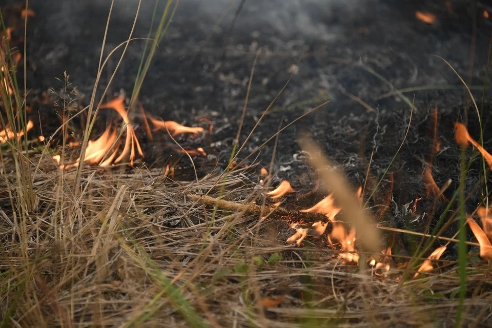 За прошлую неделю в Республике Крым произошло 35 возгораний сухой травы