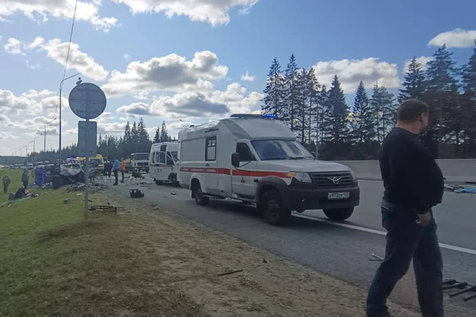 В ДТП с велосипедистами на трассе "Скандинавия" погибли двое детей. Фото: ГУ МВД по Петербургу и Ленобласти