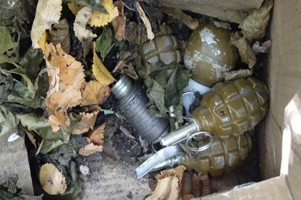 В Меловском районе полицейскими обнаружены боеприпасы. Фото - МВД ЛНР