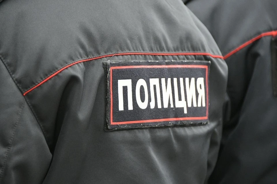 В Заокском районе два брат украли бензогенератор с дачного участка