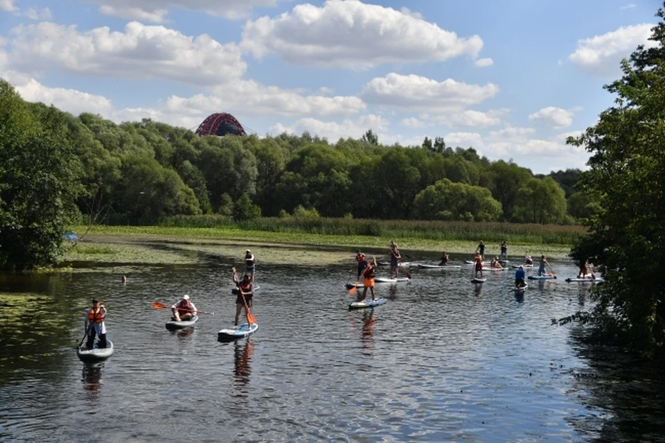 В Запорожской области есть условия для создания школы серфинга