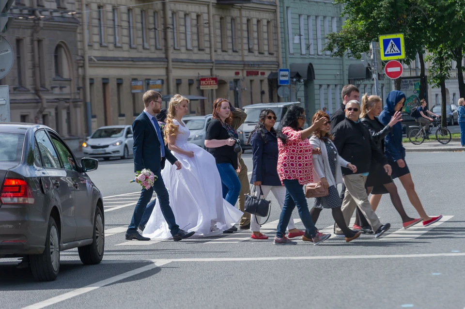 227 пар сыграли свадьбу в Ленобласти за неделю.