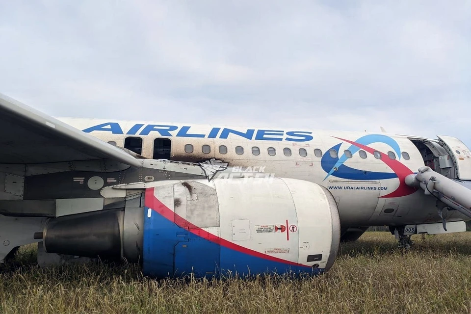 Сибирячка рассказала о поломке самолета, аварийно севшего в поле в НСО. Фото: АСТ-54.