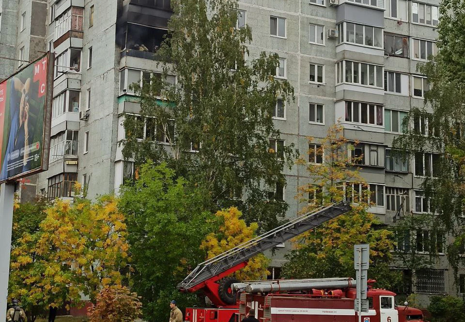 ФОТО: телеграм-канал Симбирский шугожор