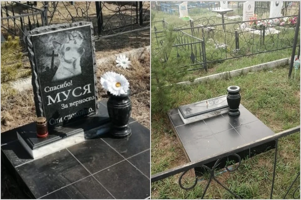 В Хакасии мужчина похоронил любимую собаку рядом со своей матерью. Но надгробие потребовали убрать. Фото: телеканал NotaBene (Хакасия).